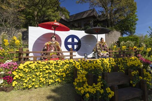 Sengan-en Chrysanthemum Festival / 仙厳園菊まつり