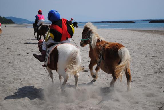 Horse racing along the Kushikino Beach / 串木野浜競馬2