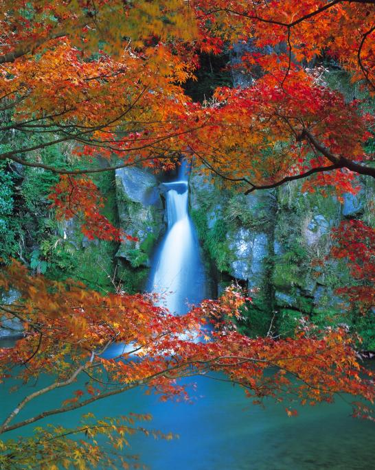 Kannon-daki Falls / 観音滝