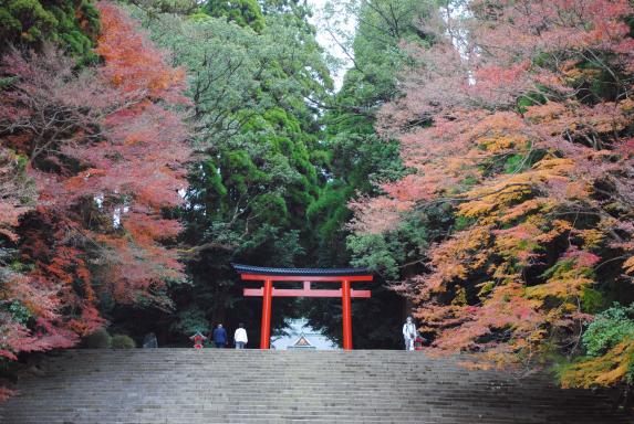 Kirishima Jingu Shrine / 秋の霧島神宮