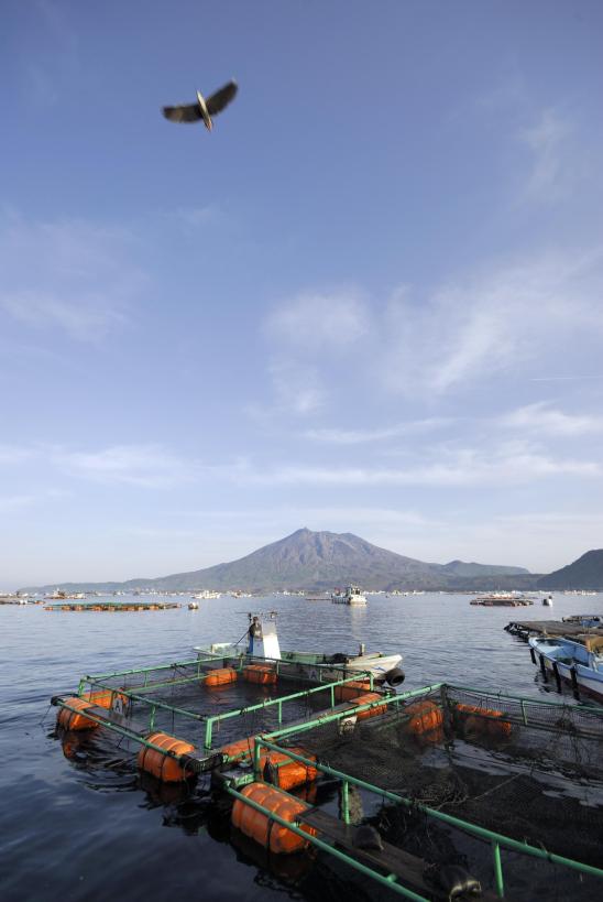 View of Sakurajima from Tarumizu② / 桜島（垂水より）2