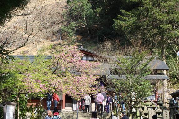 Fujikawa Tenjin Shrine / 藤川天神（菅原神社）
