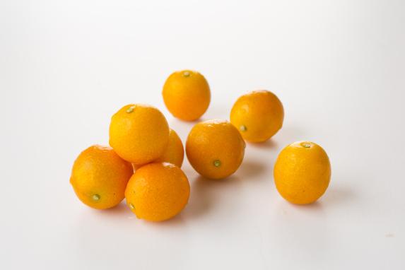 Kumquat / 金柑