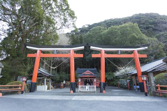Suwa Shrine / 諏訪神社