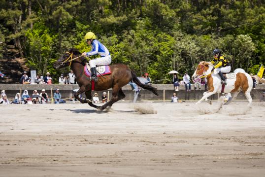 Kushikino Beach Horse Racing (Hama-Keiba) / 串木野浜競馬