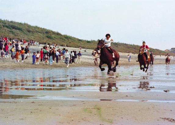 Horse racing along the Kushikino Beach / 串木野浜競馬1