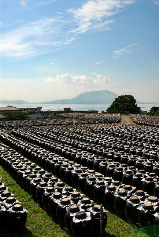 Kirishima Kurozu (Black Vinegar)  / 壺畑風景