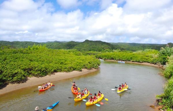 Tanegashima Mangrove Park / たねがしまマングローブパーク