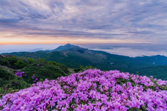 韓国岳山頂