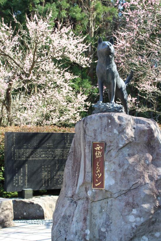 Fujikawa Tenjin Shrine / ツンの銅像（藤川天神）