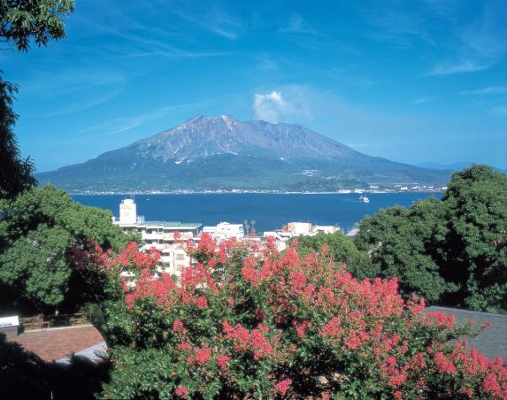 Sakurajima / 桜島とサルスベリ