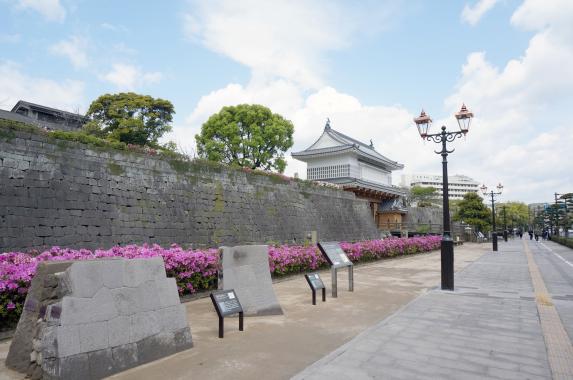 Goromon Gate (Tsurumaru Castle Ruins) / 鶴丸城御楼門とツツジ③