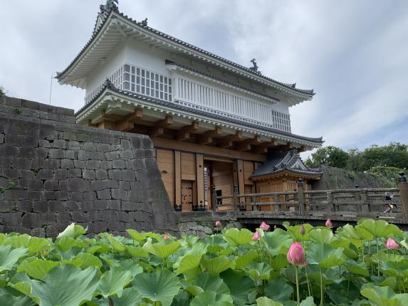 Goromon Gate (Tsurumaru Castle Ruins) / 鶴丸城御楼門とハス①