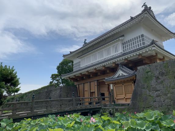 Goromon Gate (Tsurumaru Castle Ruins) / 鶴丸城御楼門とハス③