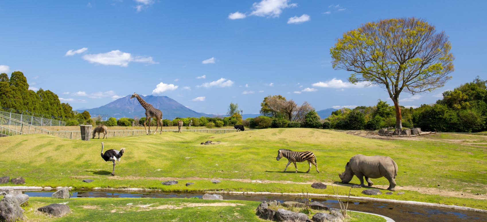 平川動物園