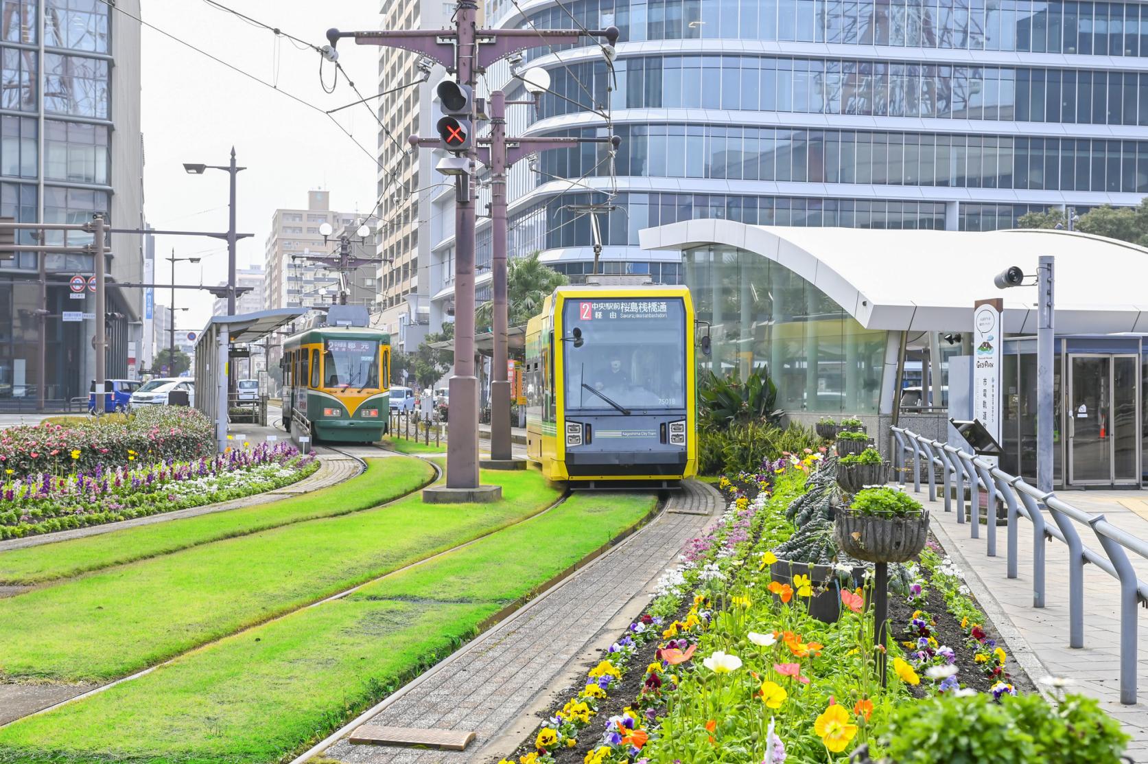 市電でGO！鹿児島市内をさくっと観光