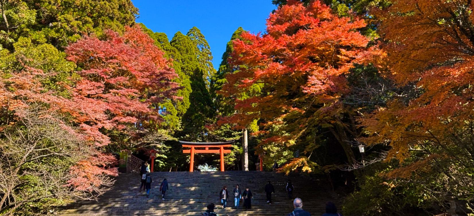 Enjoy the 'Autumn' of Kagoshima