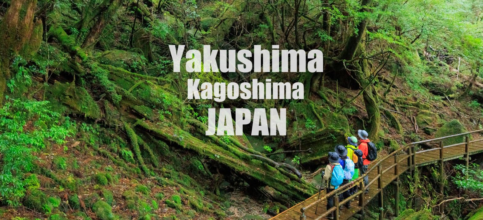 ©Soramido-Yakushima