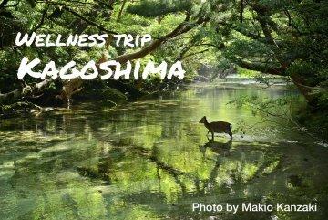 An article about "Wellness Trip to Kagoshima" has been published in Go World Travel-1