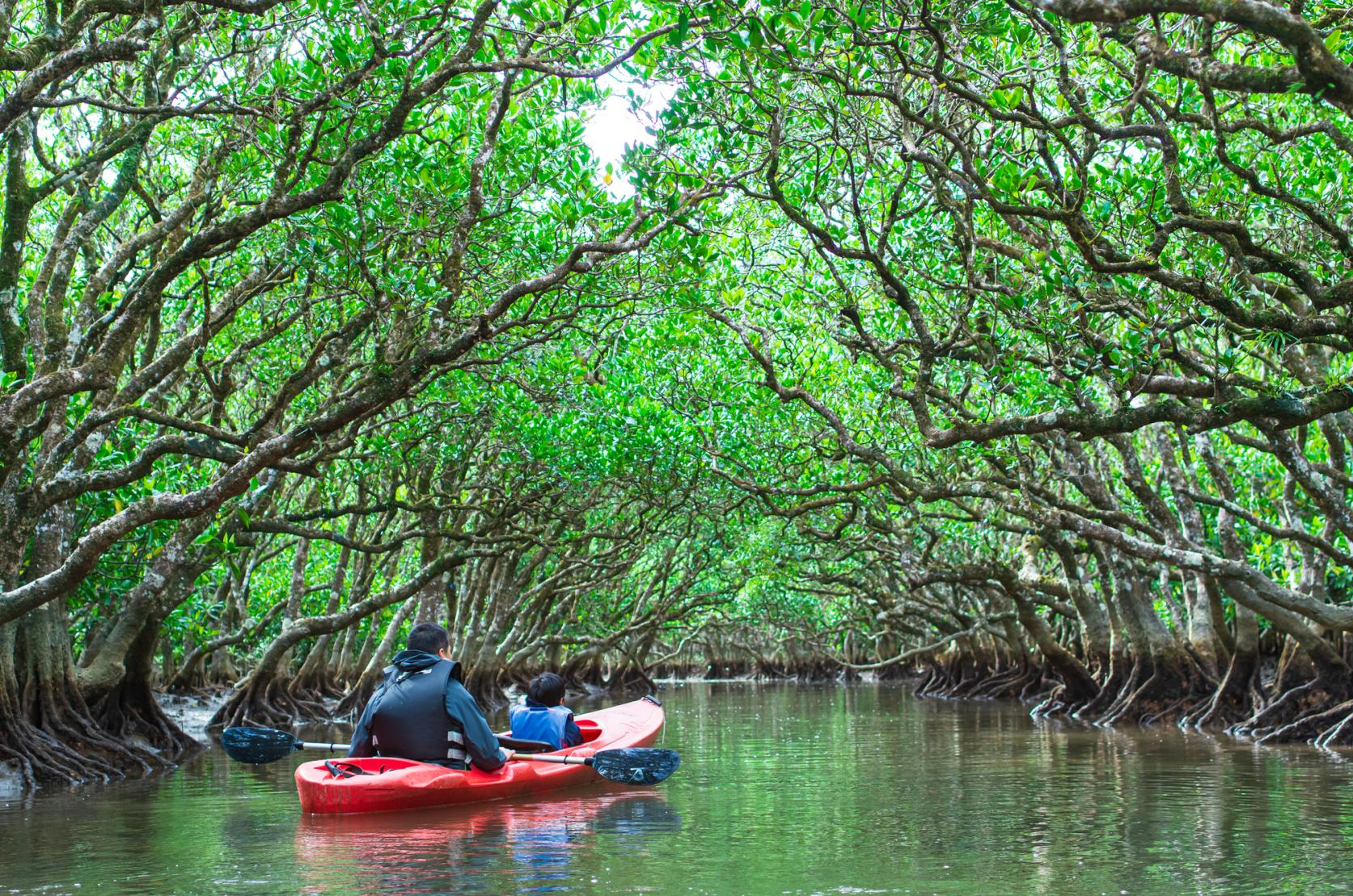 Amami Oshima and Yoron Listed in Top 100 Global Sustainable Tourism Destinations-1