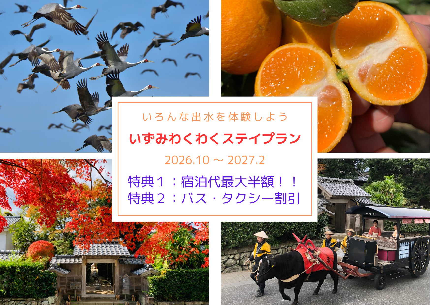 【出水市】宿泊費最大半額＆バス・タクシー割引のお得なツアー参加者募集中（いずみわくわくステイプラン）-1