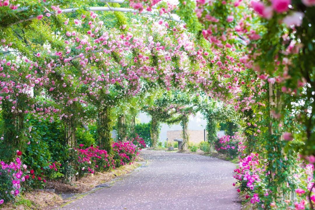 鹿屋モデルコース-1