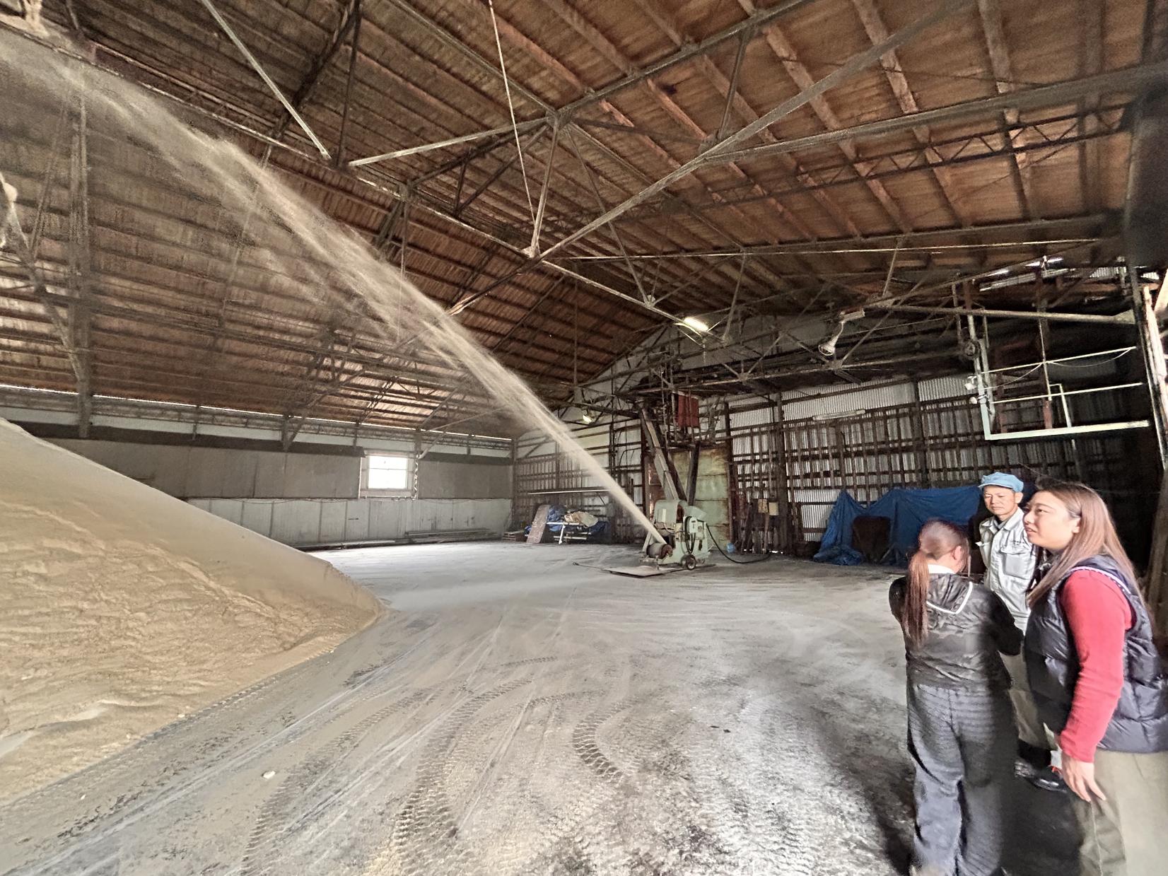 お砂糖ができるまで-1