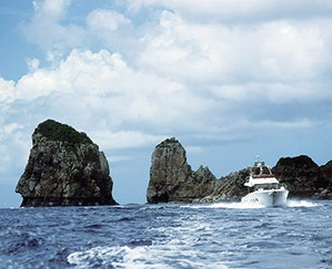 島に親しむ「島ある記」-1