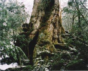石川直樹 Profile-1