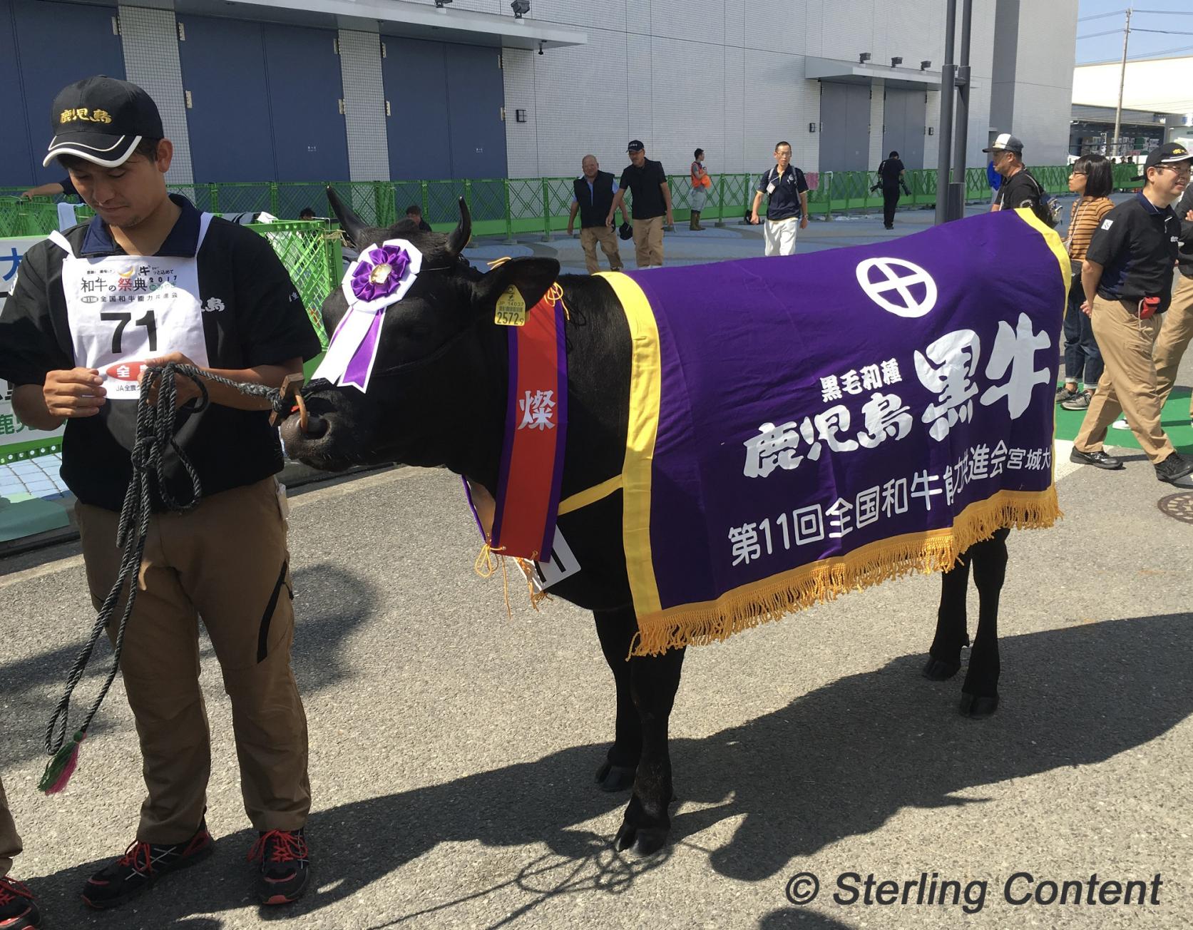 Kagoshima and the Wagyu Olympics-1