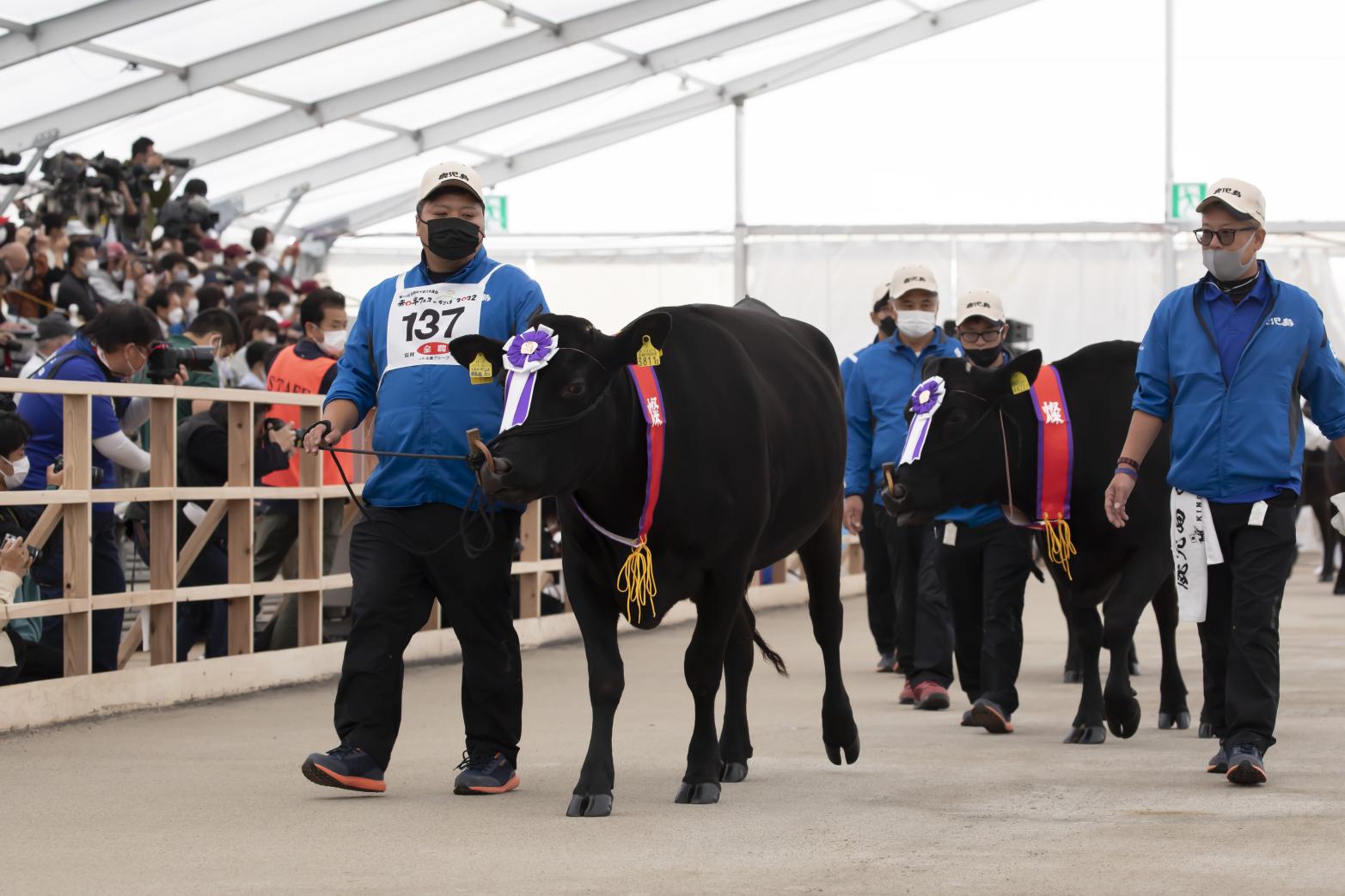 Kagoshima recognized for top-quality wagyu-1