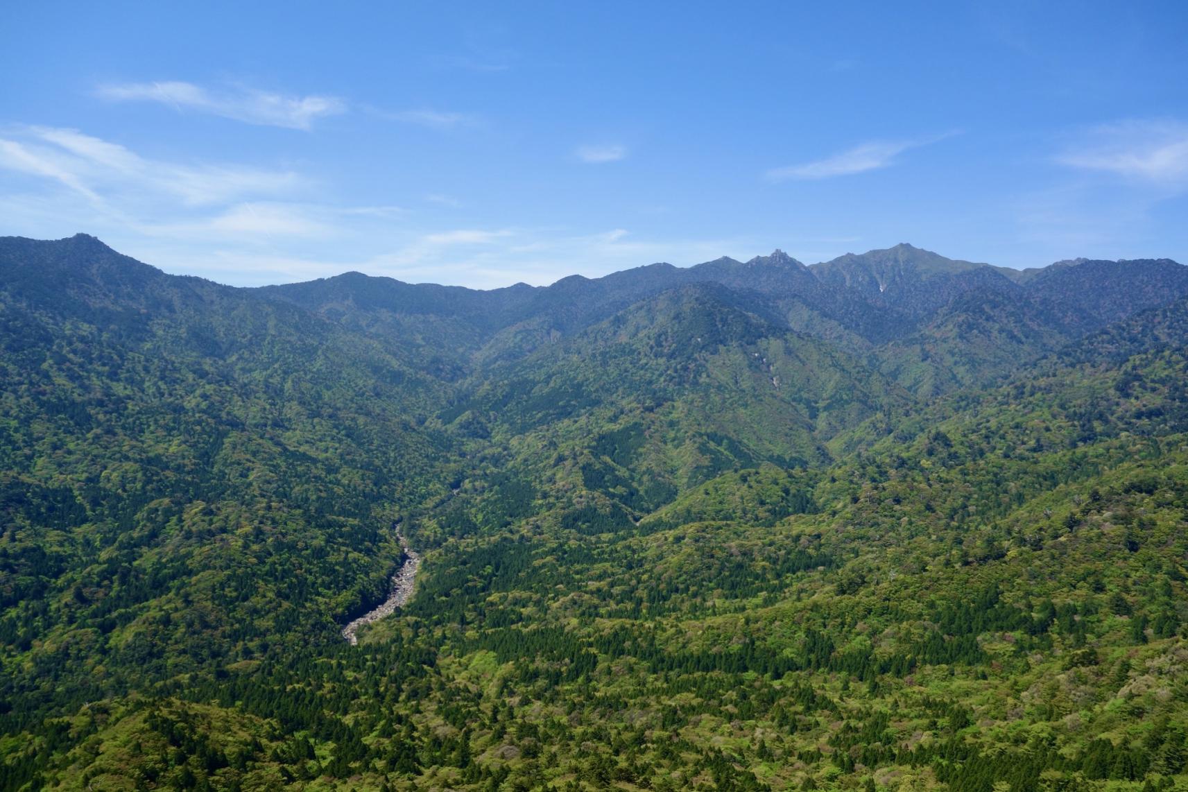 Yakushima Geographic Tour-1