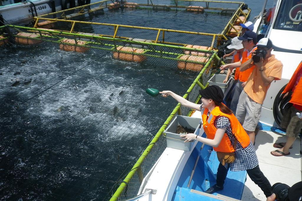  海潟漁港・海の桜勘カンパチ給餌体験〔要予約〕 