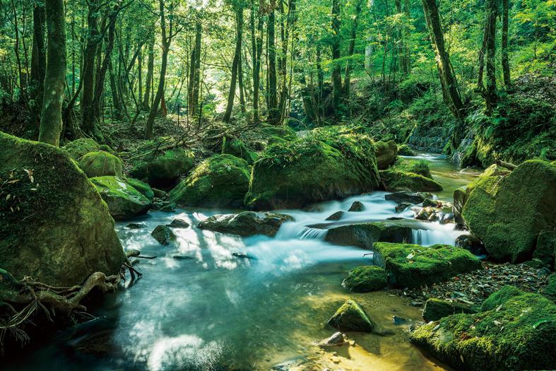 大川原峽・悠久の森