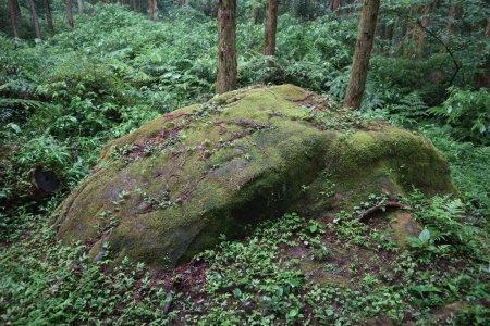  西郷隆盛御座石 