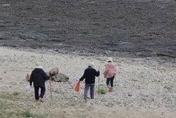 【長寿の島「徳之島・阿権浜」で脳トレ・筋トレ】歩健学研究室さん-1