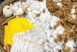 知覧武家屋敷で和綿の糸紡ぎ体験-1