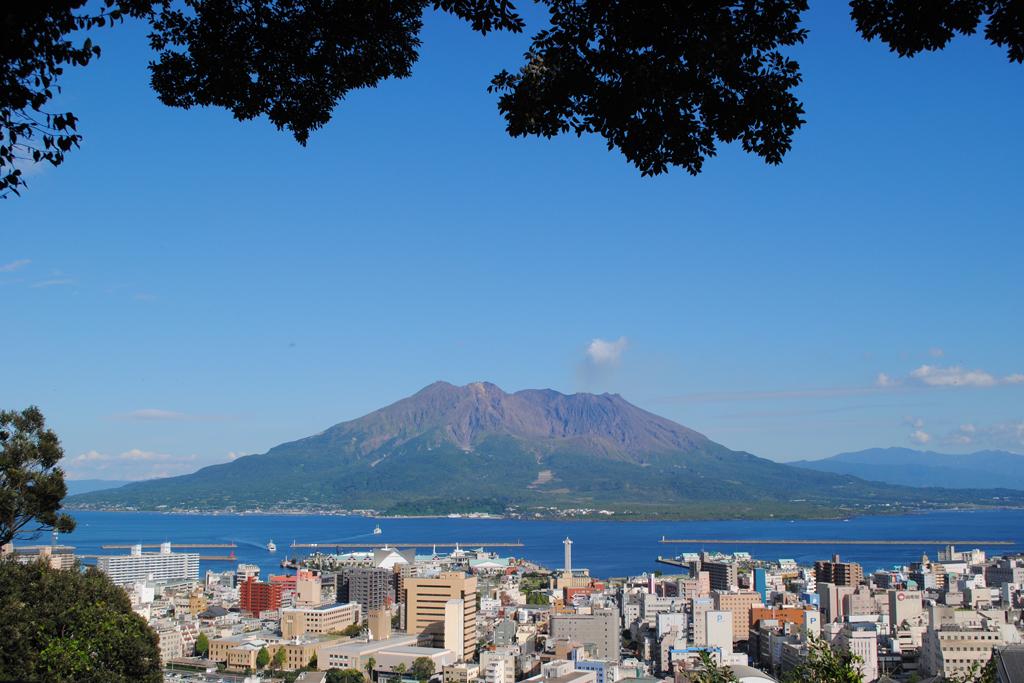  城山公園（展望台・自然遊歩道） 