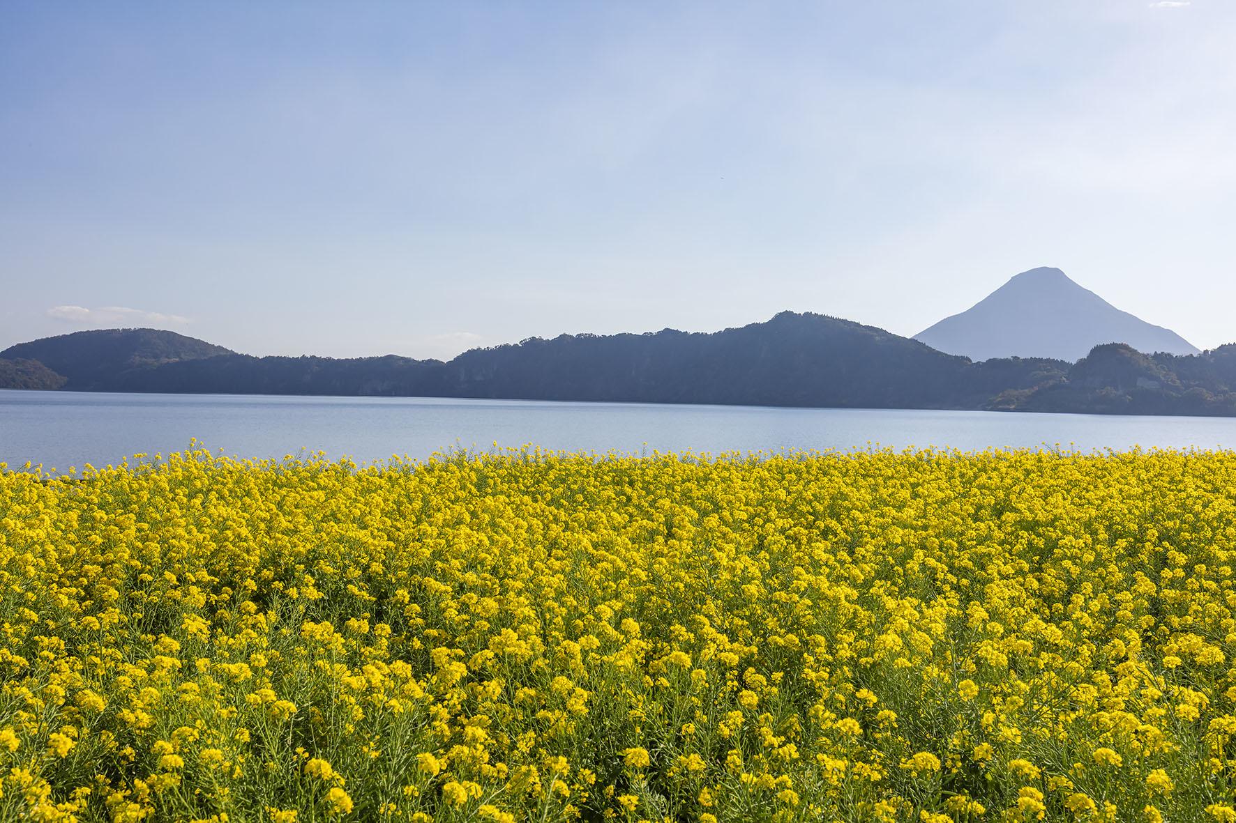  池田湖 