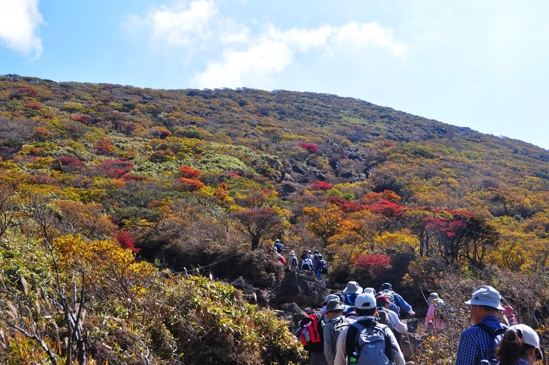 まだ見ぬ景色に出逢う。オンリーワンのハイキング-1