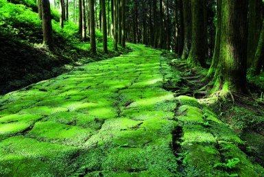 過去へと続く道・・・歴史と自然を満喫古道-1