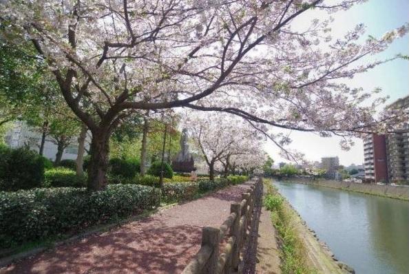 Kotsuki River Green Belt (Left/Right Banks)-1