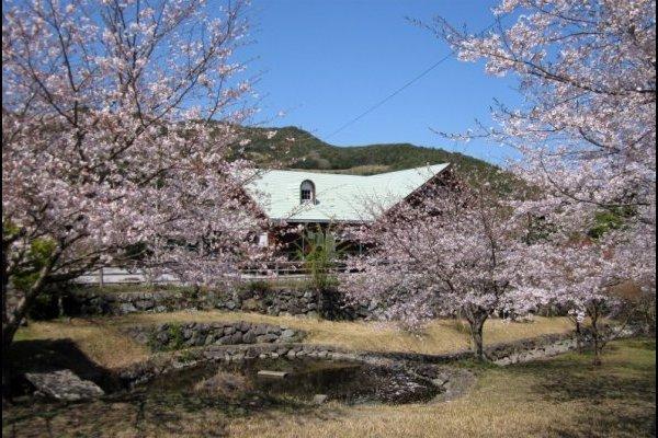 綠色農場（鹿兒島市觀光農業公園）-1