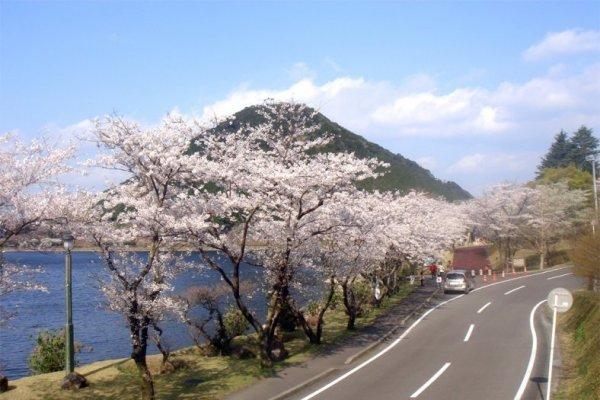 Imuta-ike (Lake Imuta) Natural Park-1