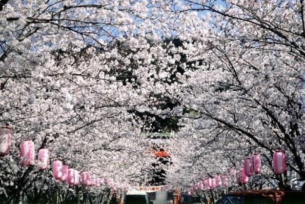 Nitta Shrine and Eno Misasagi Mausoleum-1