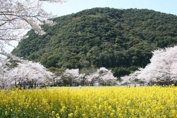 Maruyama Park-1