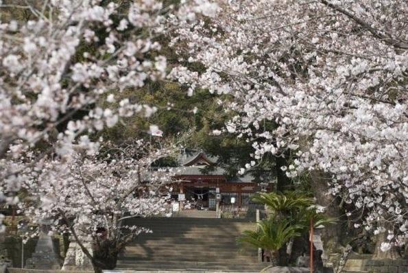 蒲生八幡神社-1