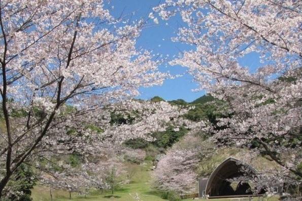 縣民森林·戶外露營場-1