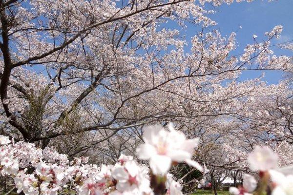 Kirishima Plateau National Recreation Center-1