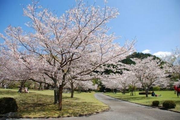 清水岩屋公園·戶外露營場-1